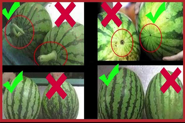 علامات أختيار البطيخ الحلو