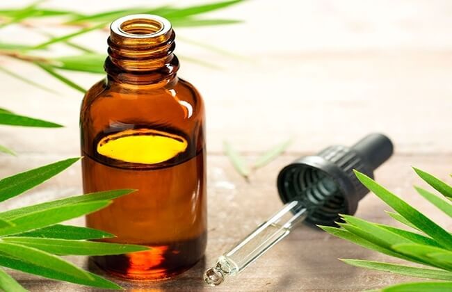 زيت شجرة الشاى العطرى
